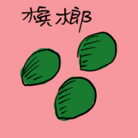 槟榔 areca
