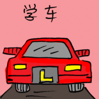 学车 learn to drive
