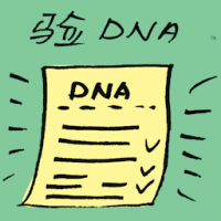 验DNA DNA test