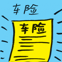 车险 car insurance