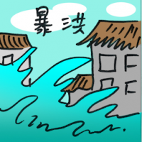 暴洪 flash flood