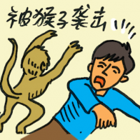 被猴子袭击 attacked by monkey