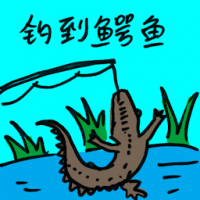 钓到鳄鱼 crocodile caught