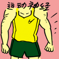 运动神经 motor nerve