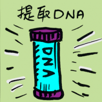 提取DNA dna extraction