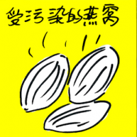 受污染的燕窝 tainted bird's nest