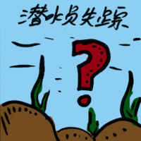 潜水员失踪 missing divers