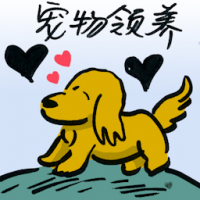 宠物领养 pet adoption