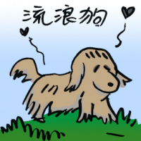 流浪狗 stray dogs