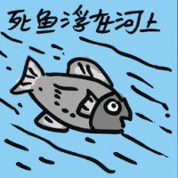 死鱼浮在河上 dead fish floating