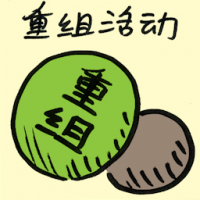 重组活动 restructuring exercise