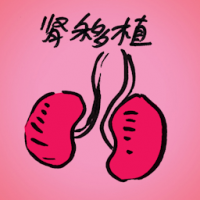肾移植 kidney transplant