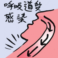 呼吸道受感染 respiratory infection