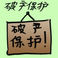 破产保护 bankruptcy protection