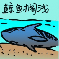 鲸鱼搁浅 whale carcass on beach