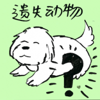 遗失动物 missing animal