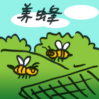 养蜂 beekeeping