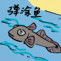 弹涂鱼 mudskipper