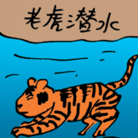 老虎潜水 tiger diving