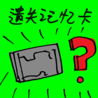 遗失记忆卡 memory card lost