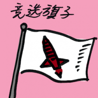 竞选旗子 election flags