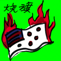 烧旗 burning flags