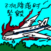 飞机坠落时坠毁 airplane landing crashed