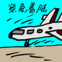 紧急着陆 emergency landing