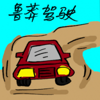 鲁莽驾驶 careless driving