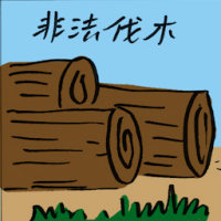 非法伐木 illegal logging activities