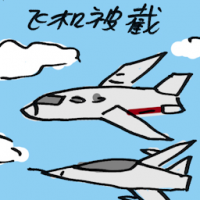 飞机被截 airplane intercepted?