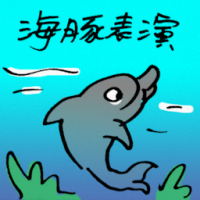 海豚表演 dolphin show