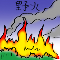 野火 wildfire